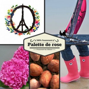 palette rose